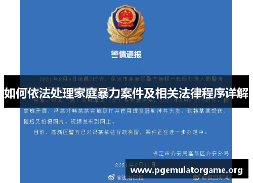 如何依法处理家庭暴力案件及相关法律程序详解