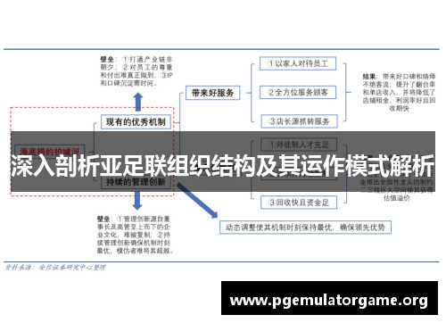 深入剖析亚足联组织结构及其运作模式解析