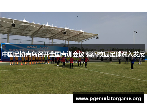 中国足协青岛召开全国青训会议 强调校园足球深入发展