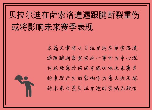 贝拉尔迪在萨索洛遭遇跟腱断裂重伤 或将影响未来赛季表现 贝拉尔迪在萨索洛遭遇跟腱断裂重伤 或将影响未来赛季表现