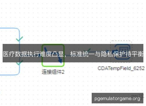 医疗数据执行难度凸显,标准统一与隐私保护待平衡 医疗数据执行难度凸显,标准统一与隐私保护待平衡